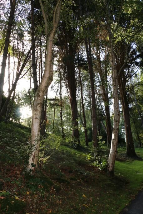 L'Auberge Bout de Bois
