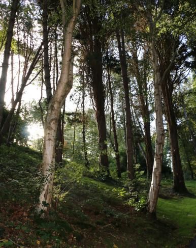 L'Auberge Bout de Bois