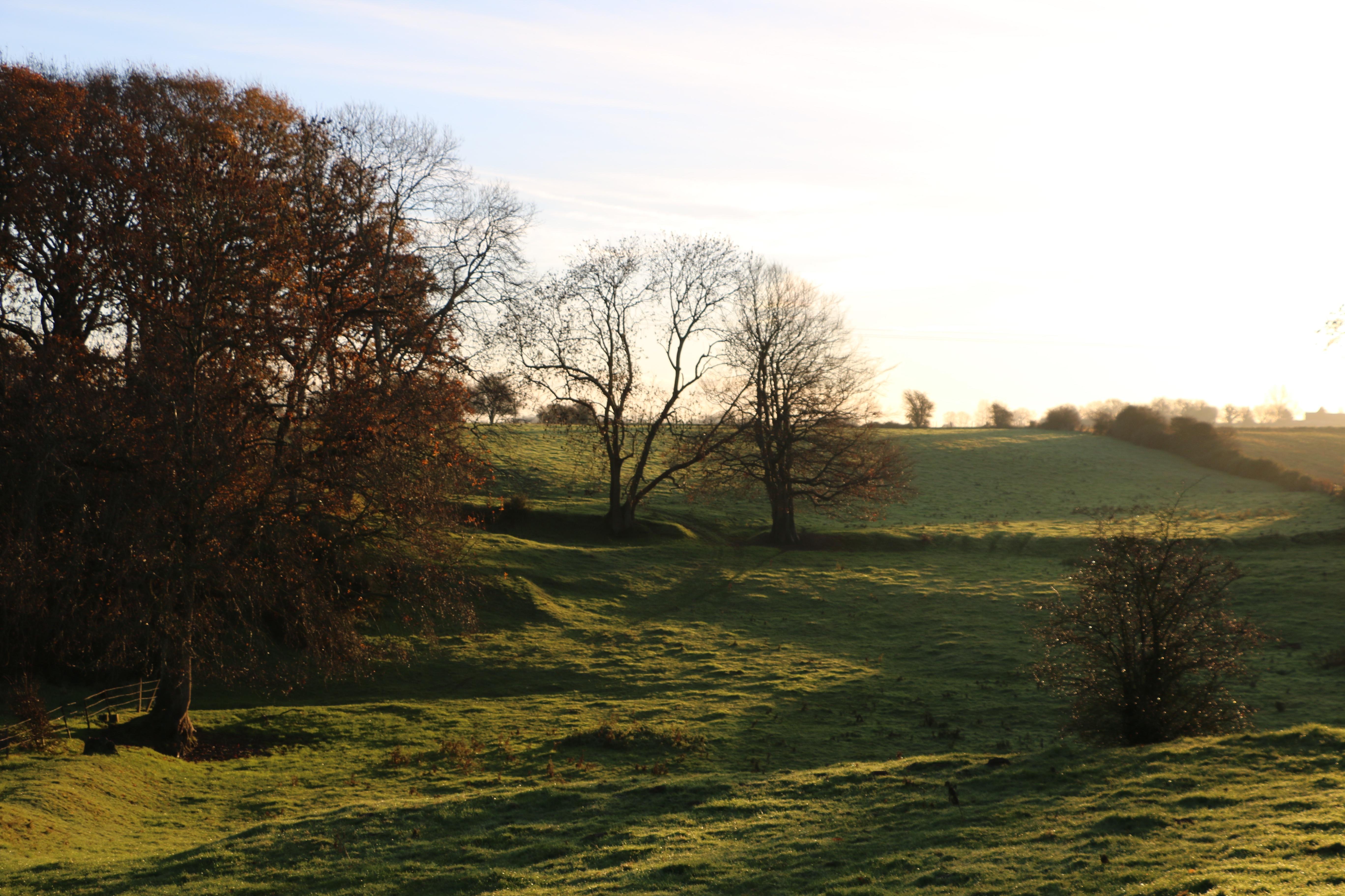 Auberge Bout de Bois - Normandie