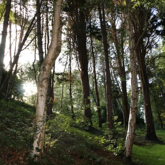Auberge Bout de Bois - Normandie