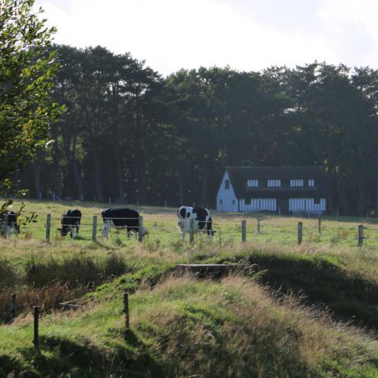 Auberge Bout de Bois - Normandie