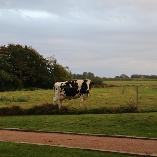 Auberge Bout de Bois - Normandie