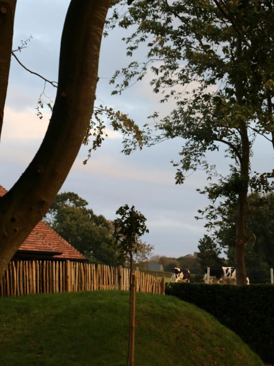 L'Auberge Bout de Bois
