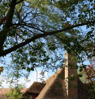 L'Auberge Bout de Bois