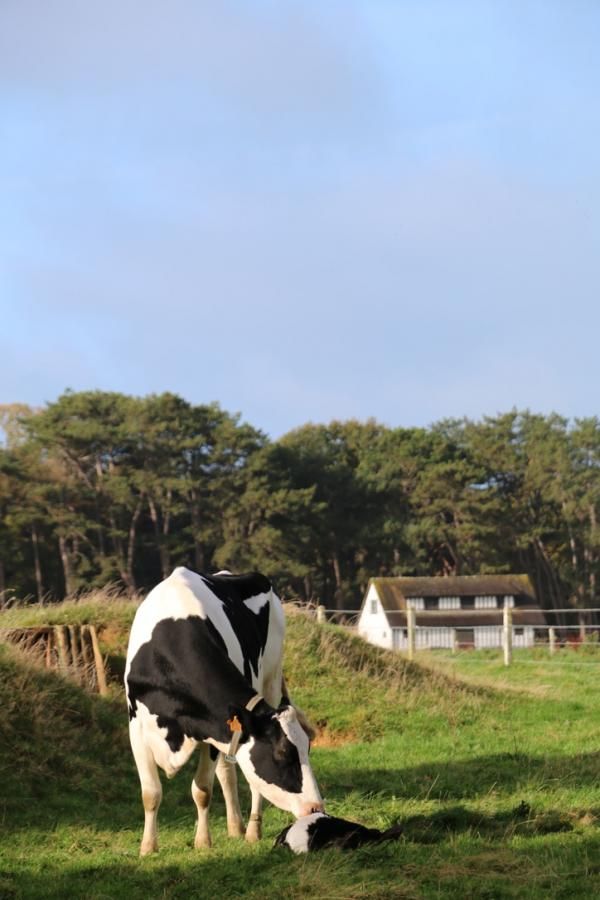 L'Auberge Bout de Bois
