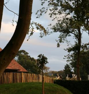 L'Auberge Bout de Bois